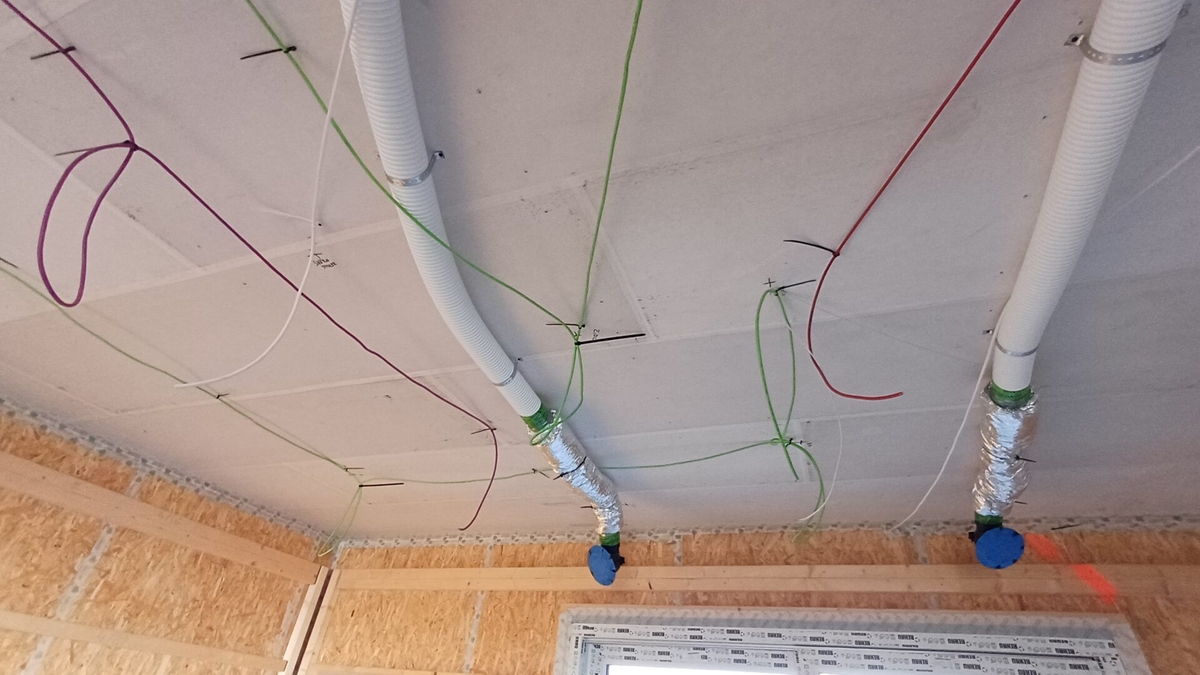 DASNÝ (České Budějovice)